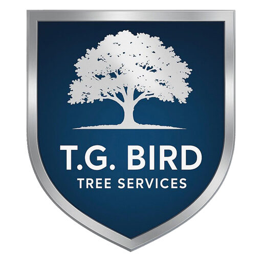 T.G. Bird Tree Services | Tree Surgeon Norfolk & Norwich